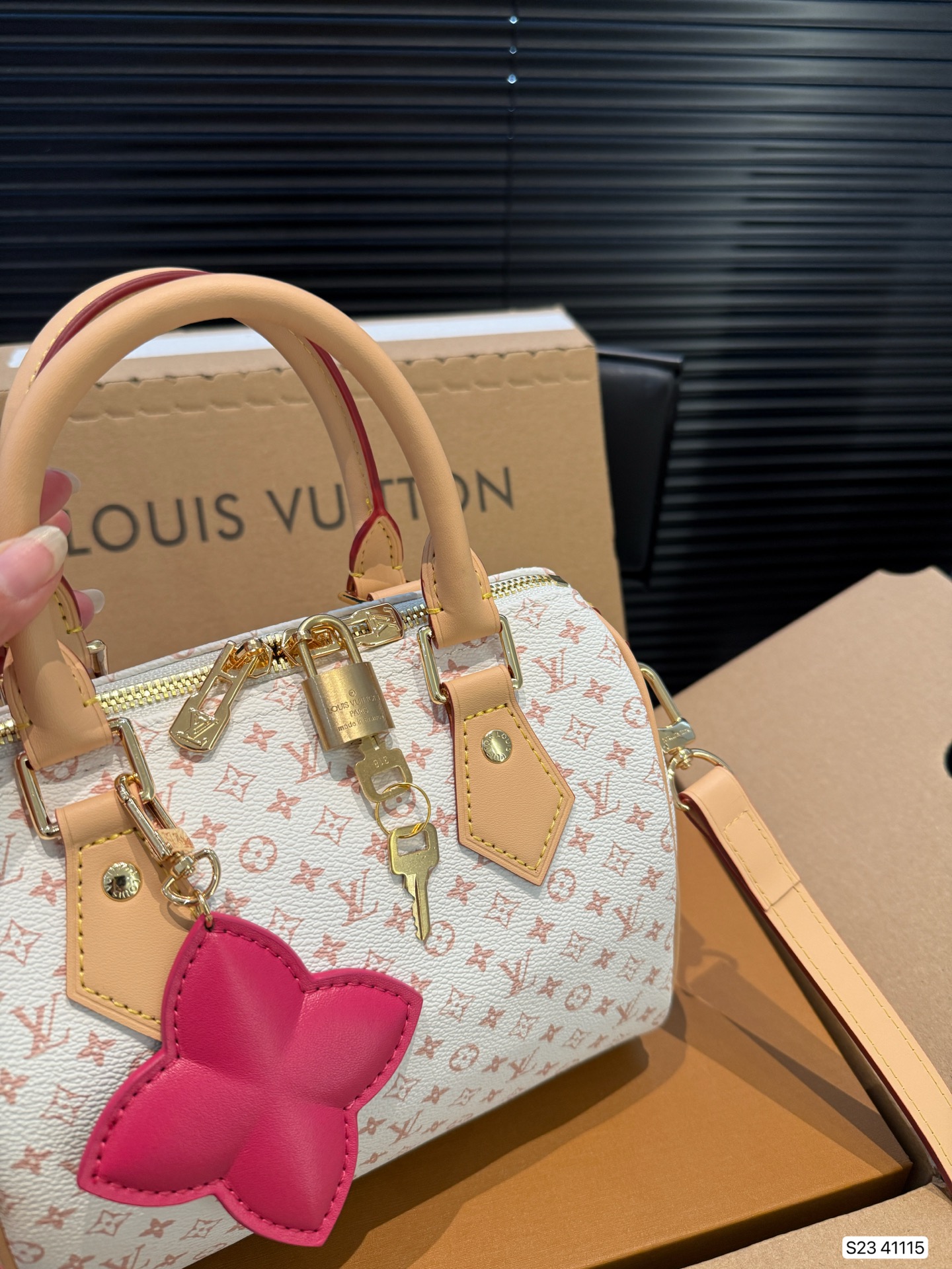 LV Speedy 20 Pillow bag