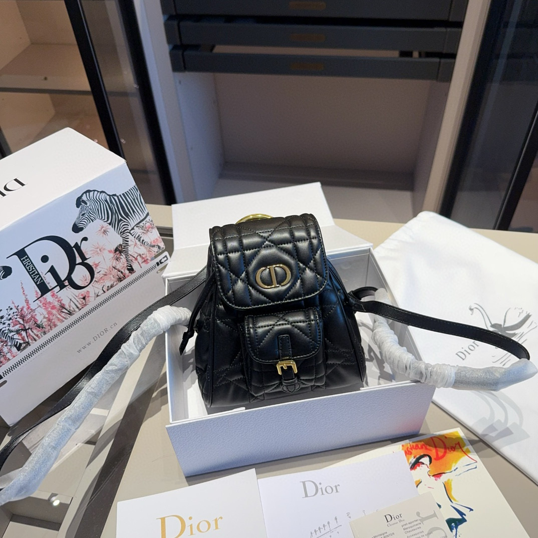 Dior CARO backpack