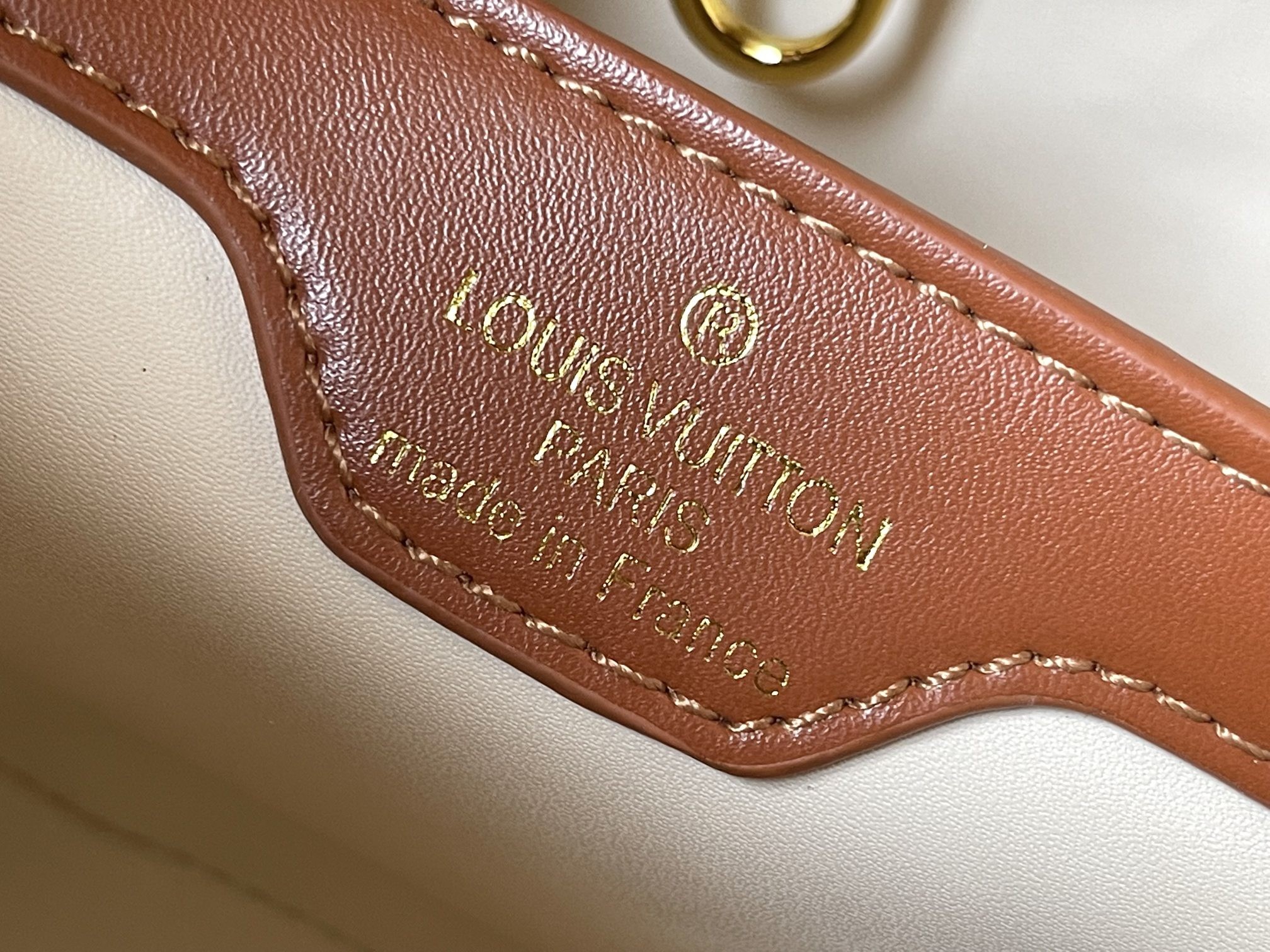 LV CAPUCINES monogram handbag