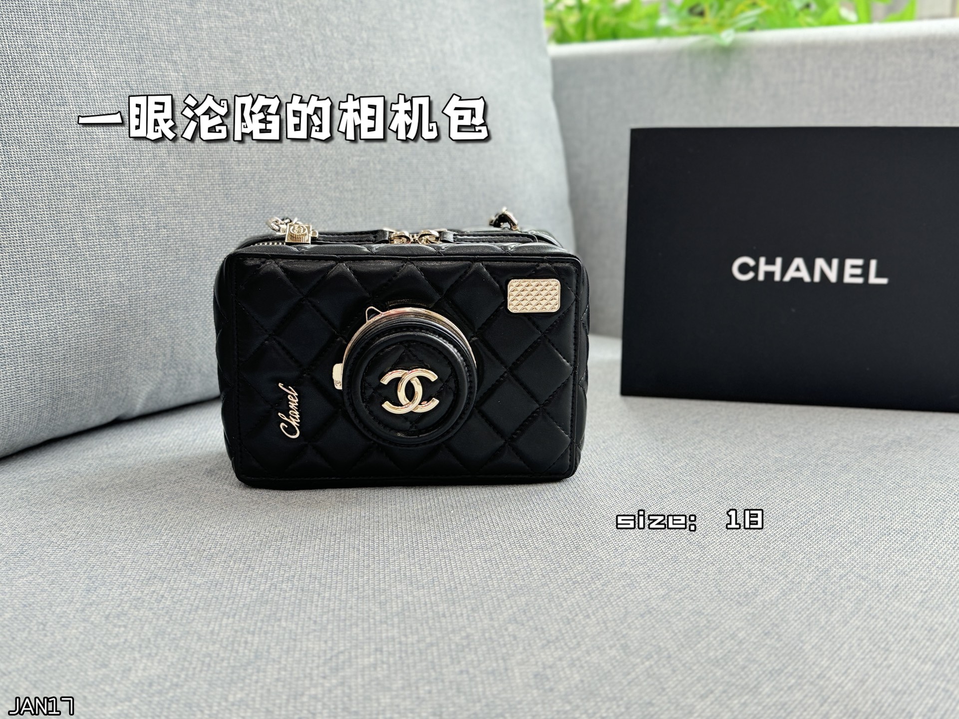 Chanel 24s camera bag