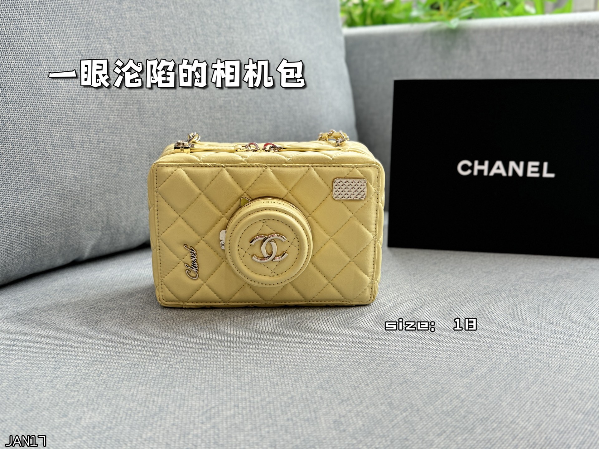 Chanel 24s camera bag