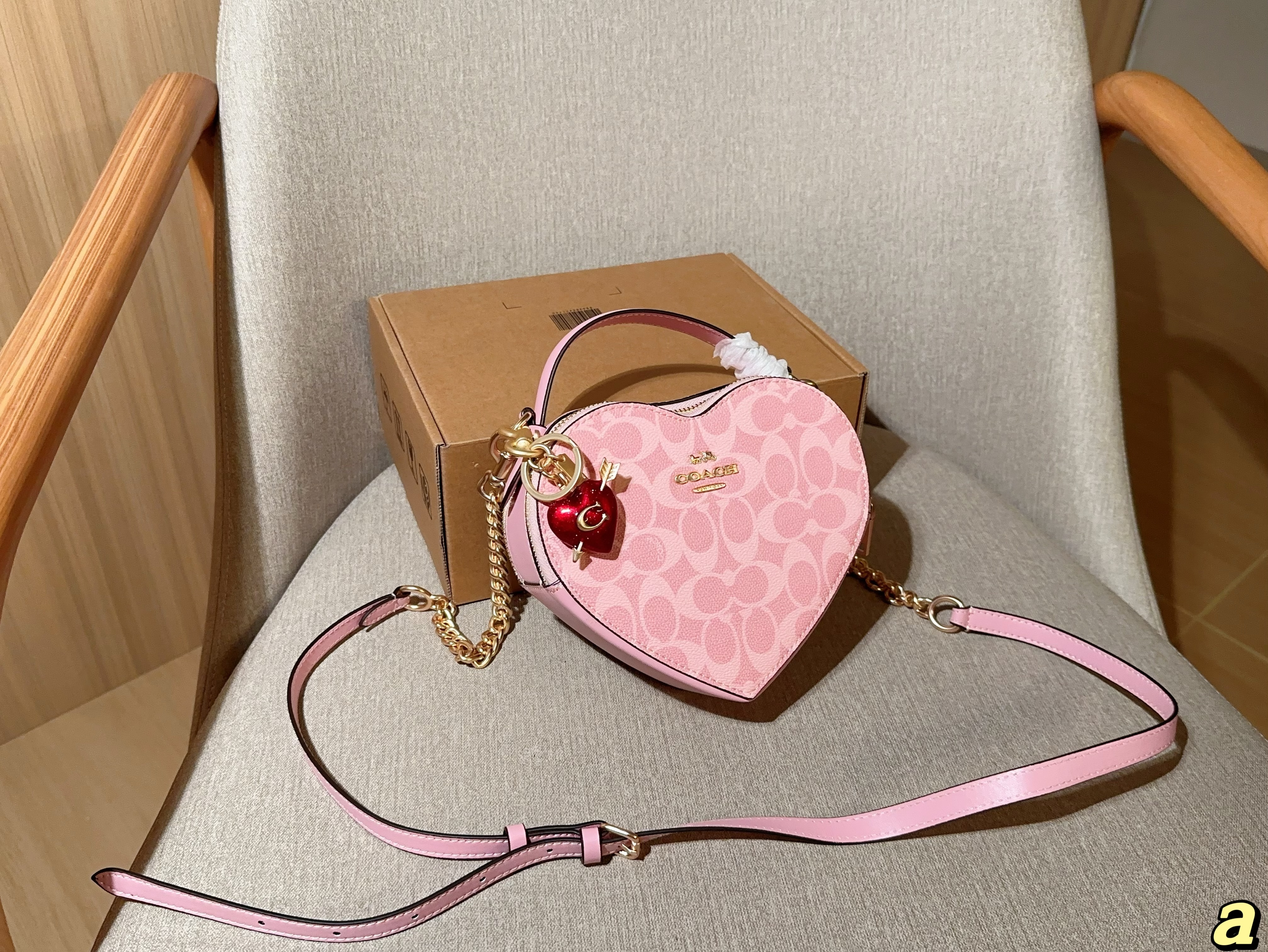 COACH Heart box bag
