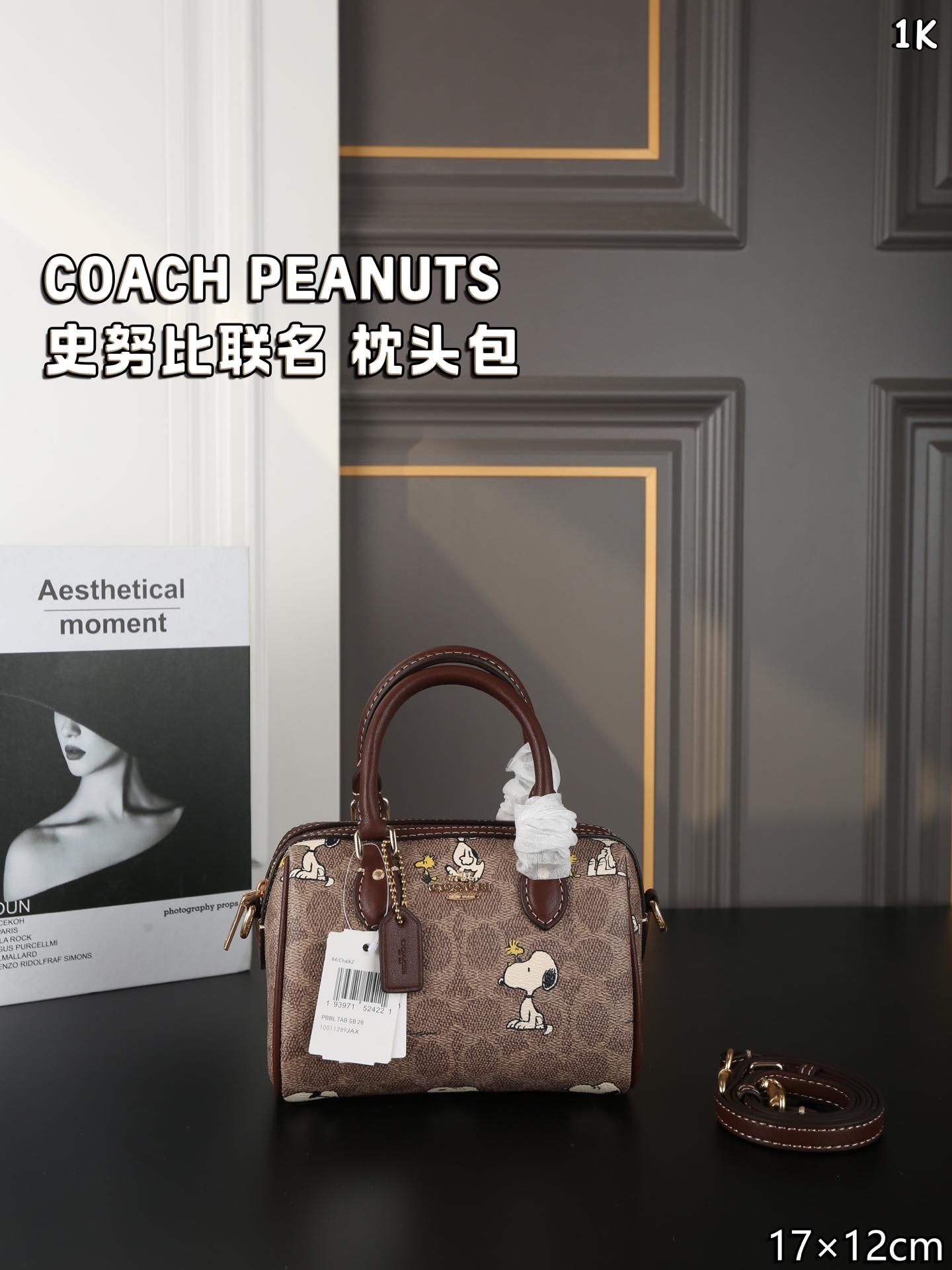 COACH PEANUTS speedy shoulder crossbody bag