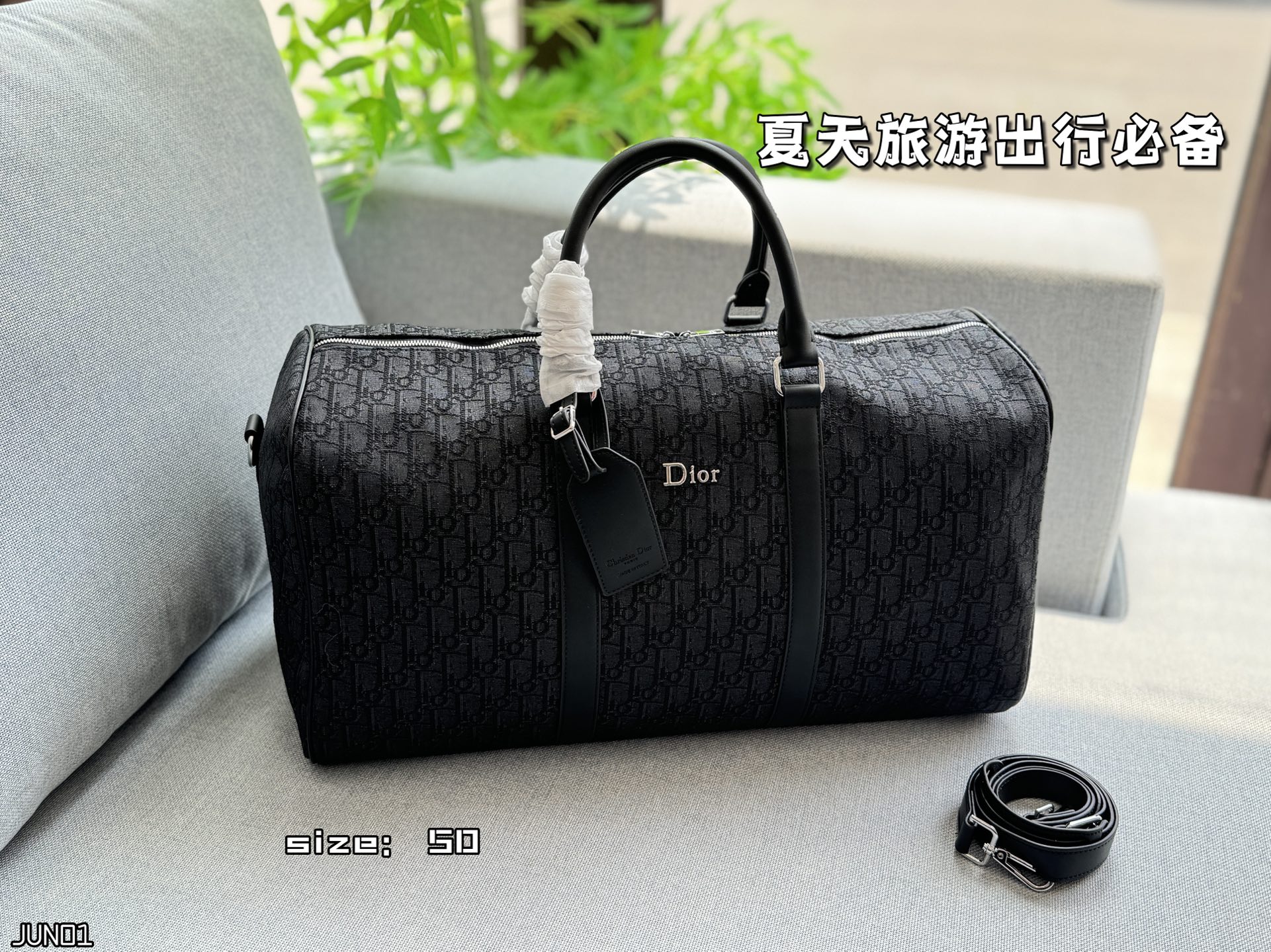 DIOR Lingot 50 handbag Oblique travel bag