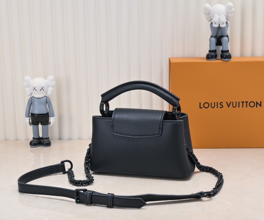 LV CAPUCINES EAST WEST handbag