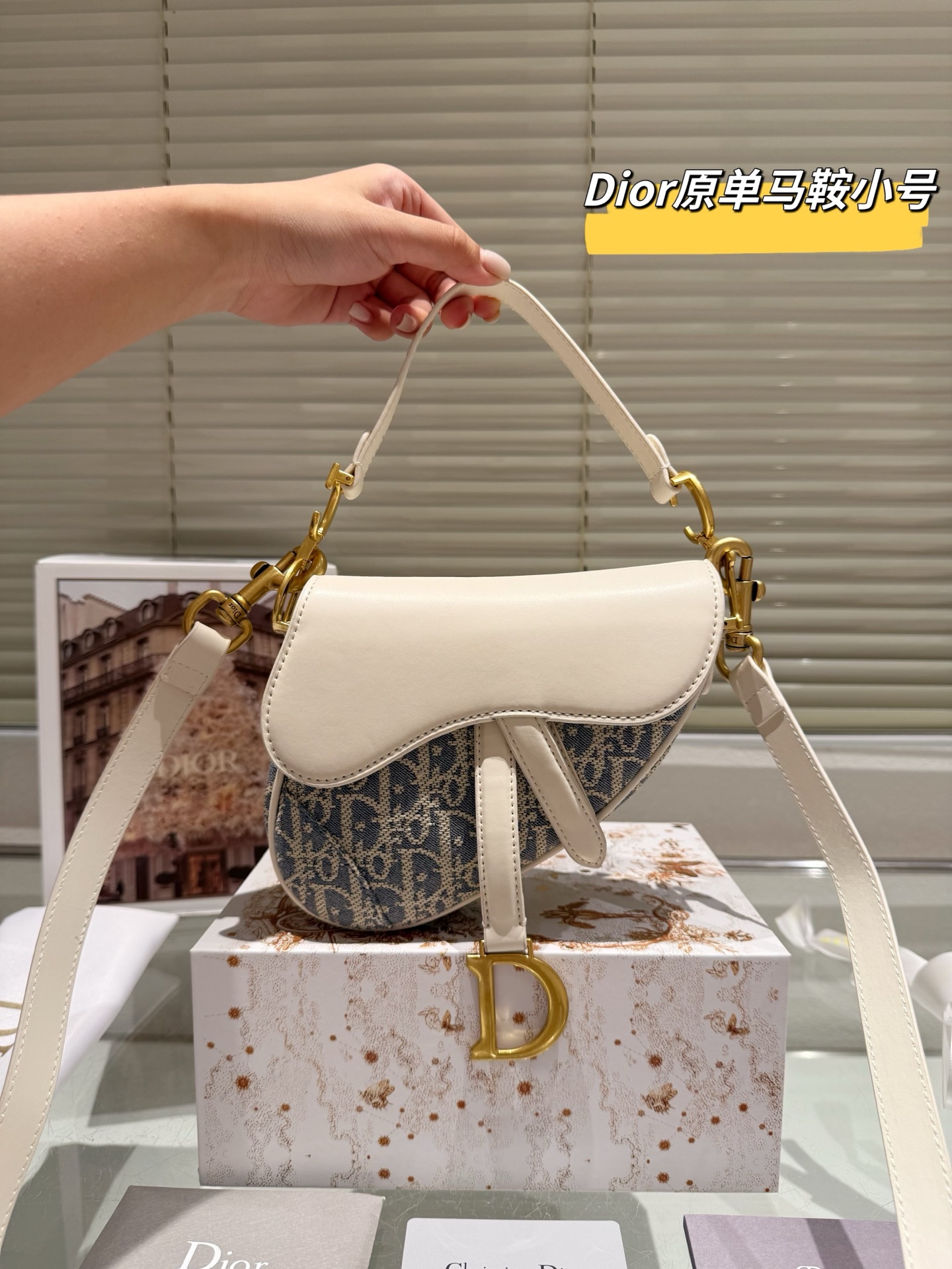 DIOR's new saddle bag