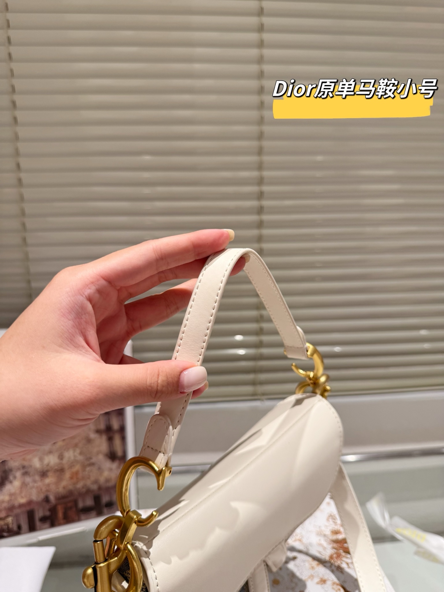 DIOR's new saddle bag