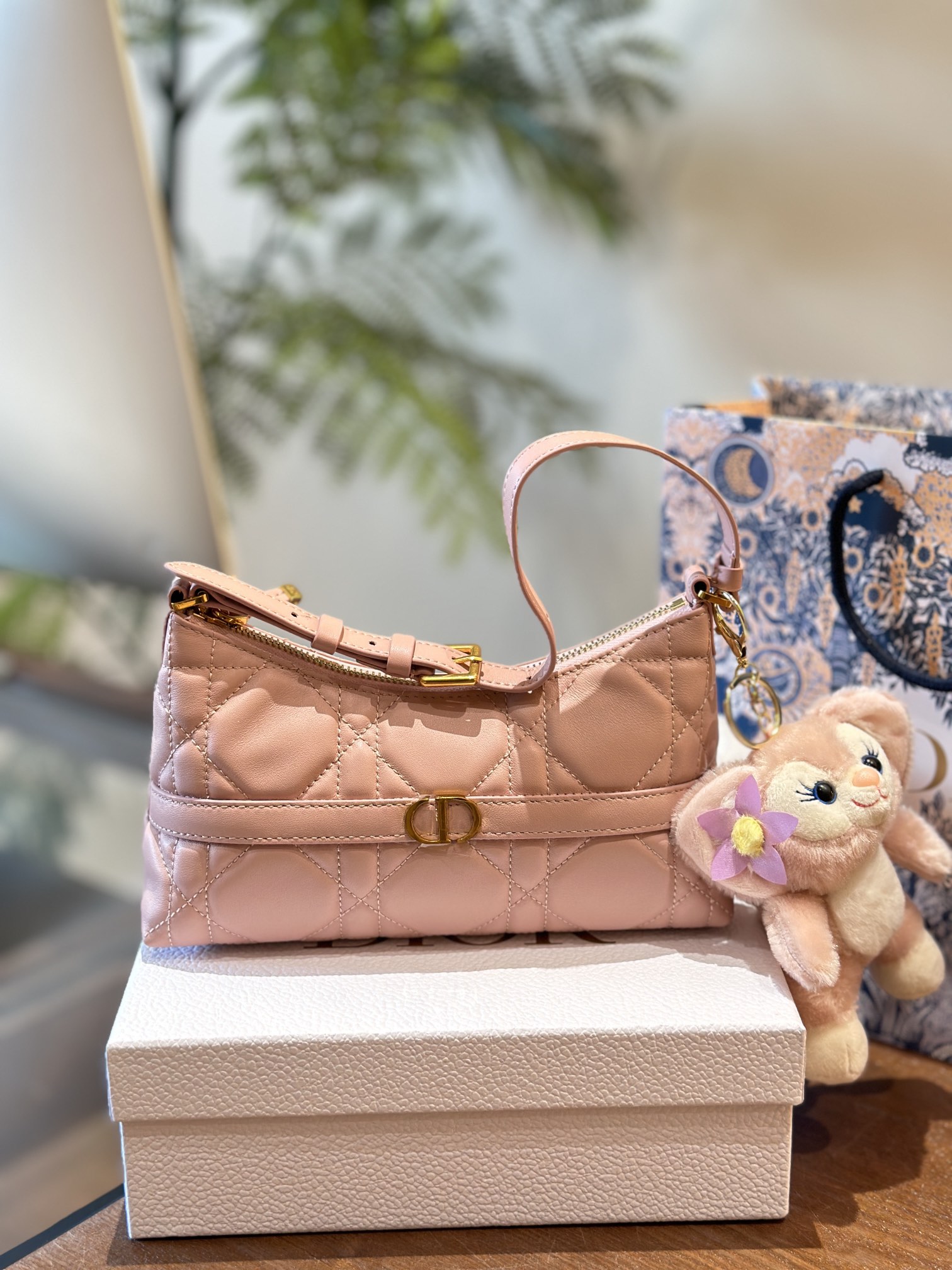 Dior HOBO underarm bag