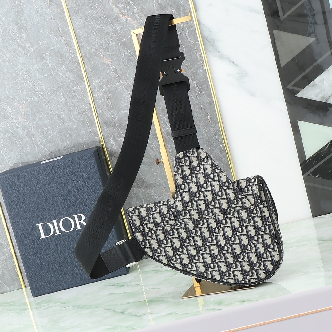 Dior Saddle Baby
