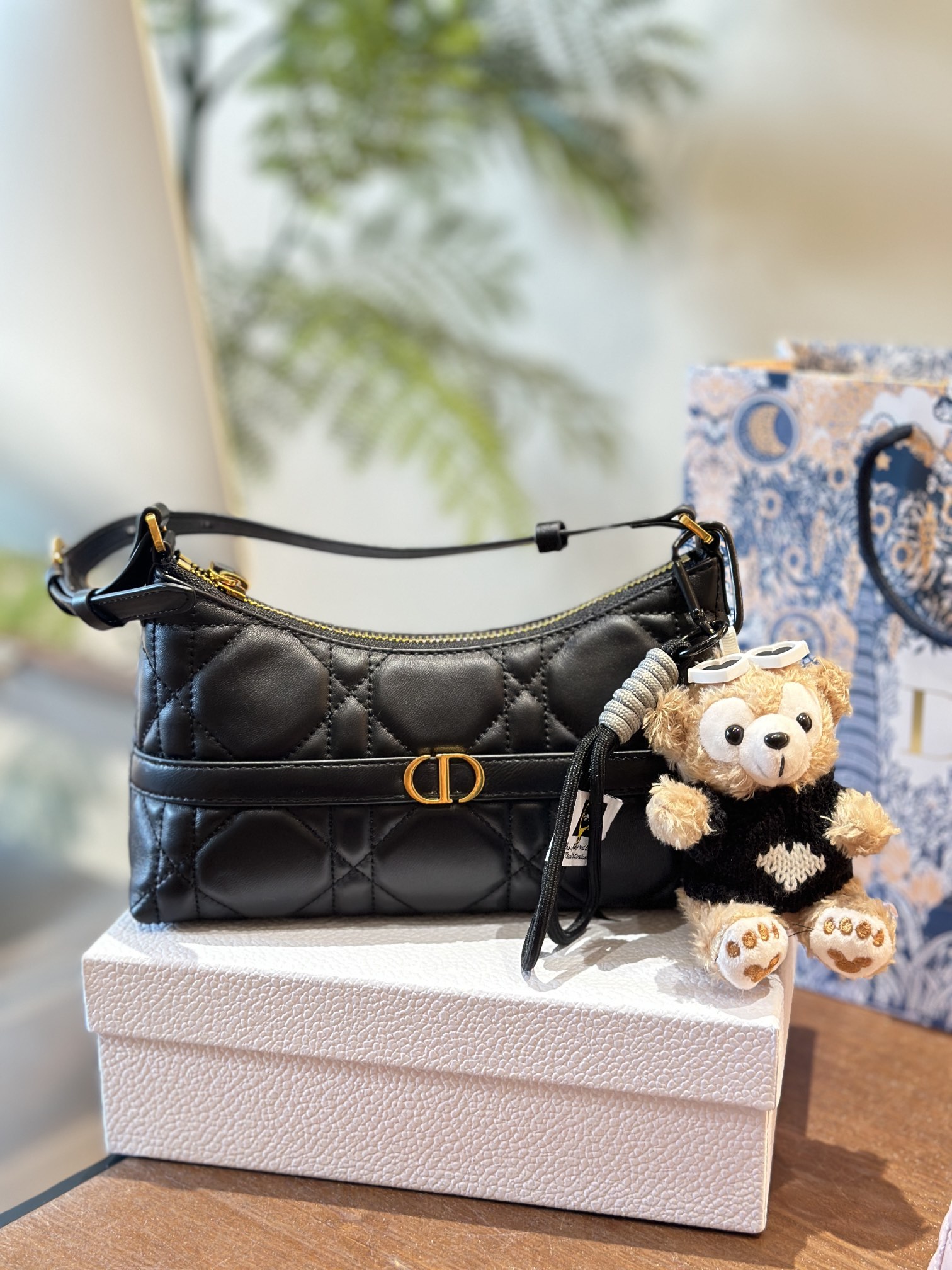 Dior HOBO underarm bag