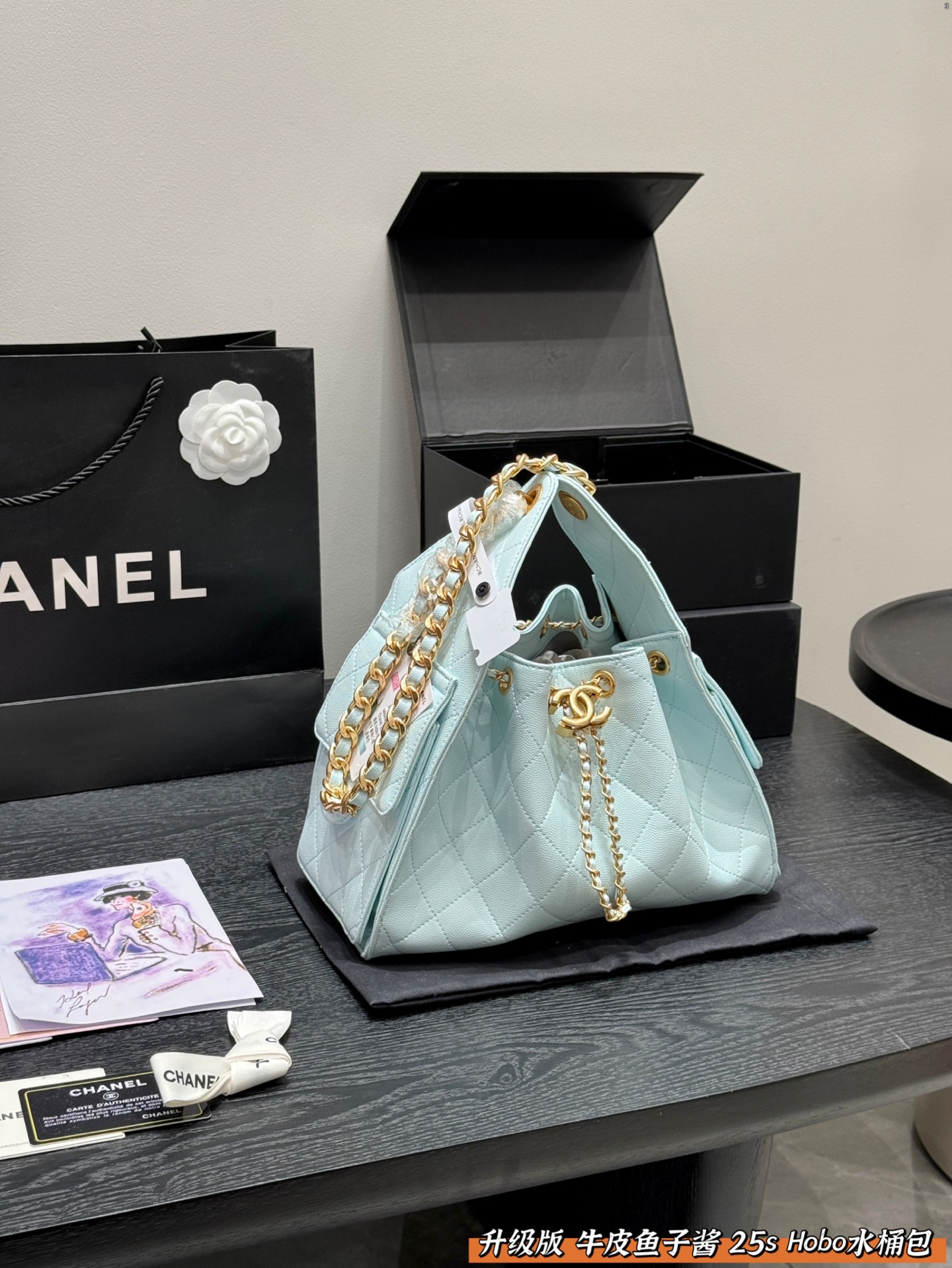 Chanel 25s hobo bag