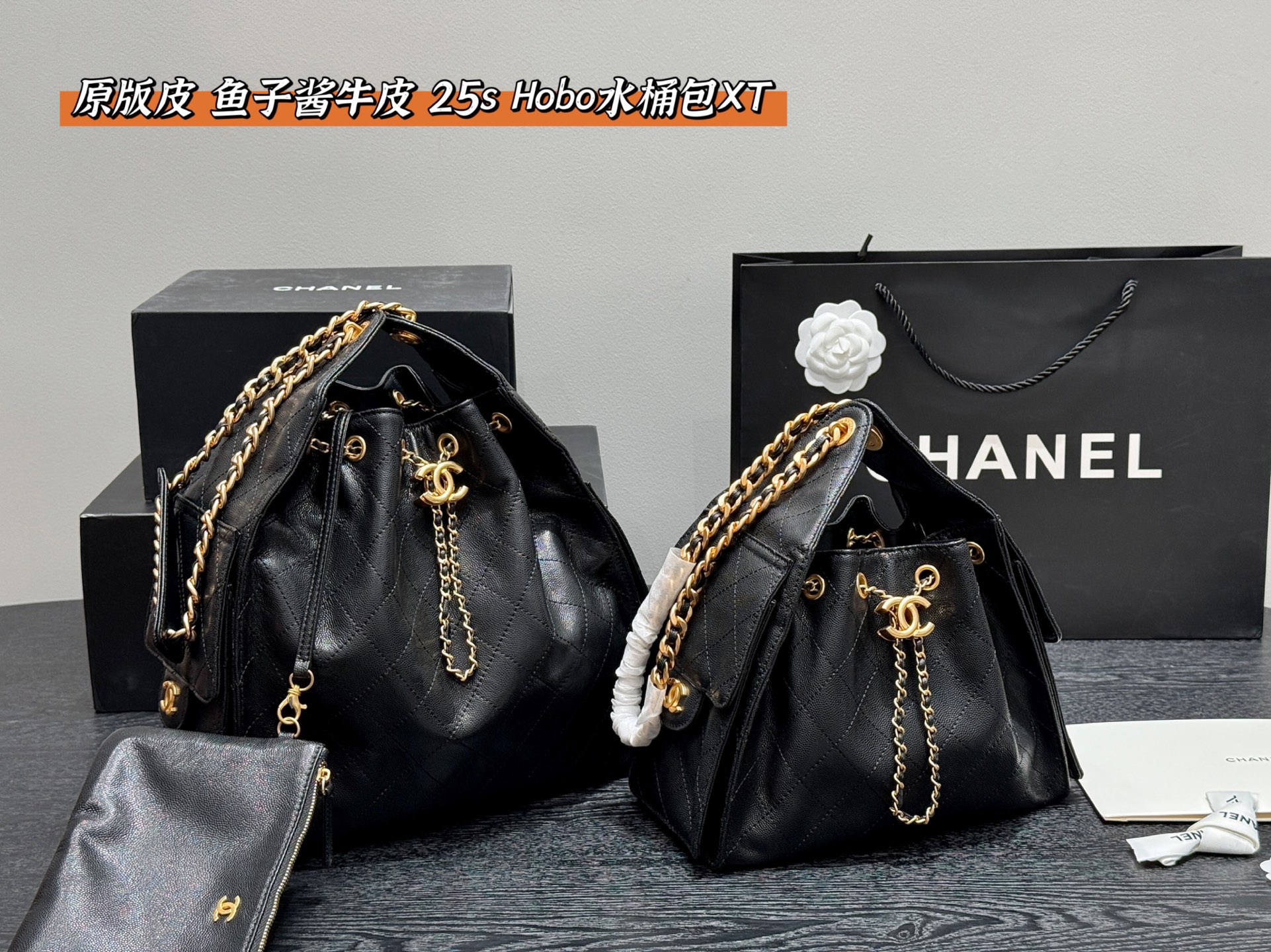 Chanel 25s hobo bag