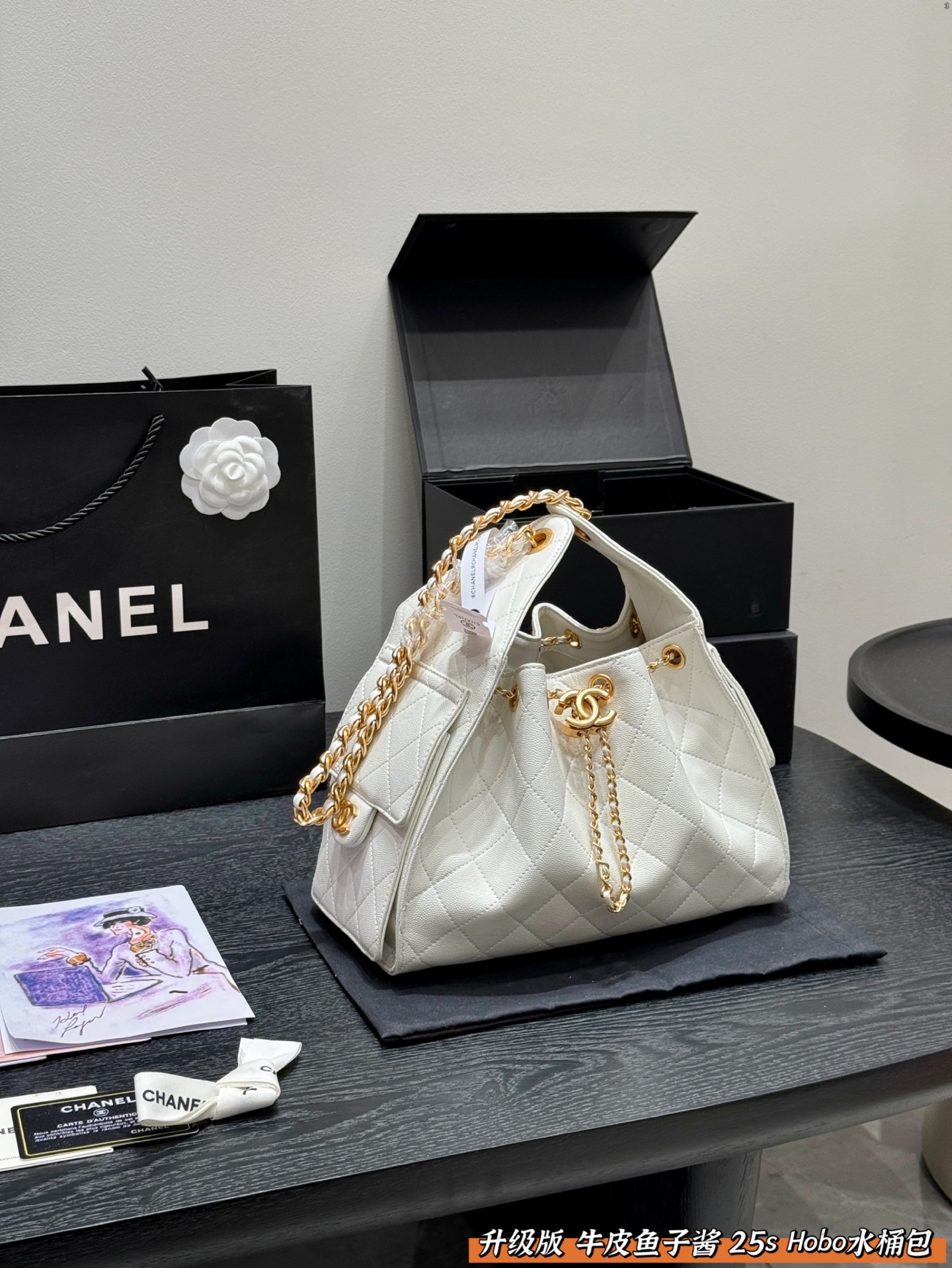 Chanel 25s hobo bag