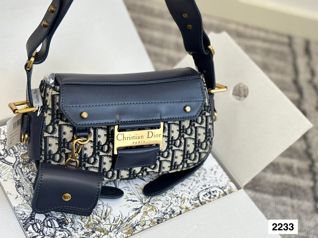 Dior NEW STREET CHIC bag