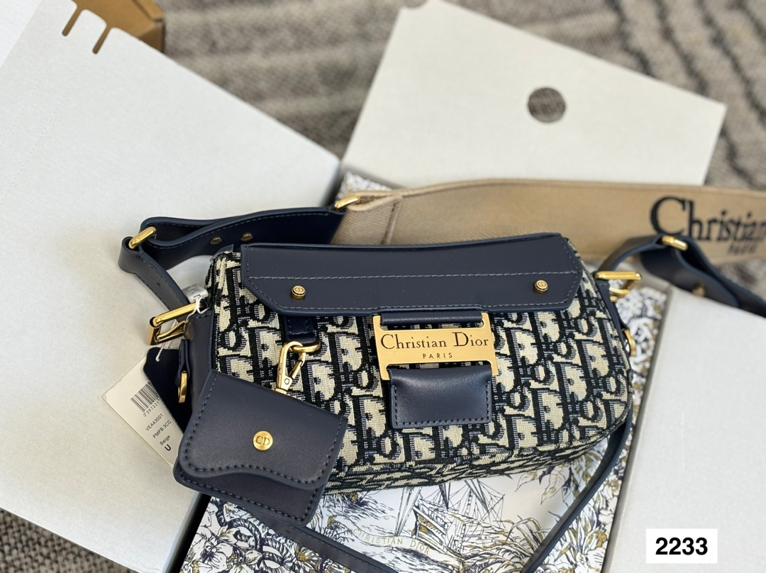 Dior NEW STREET CHIC bag