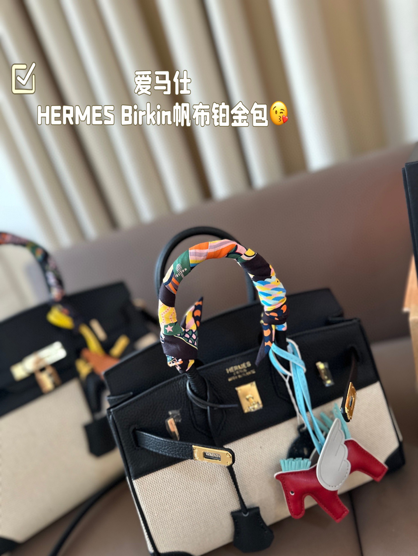 HERMES Birkin Canvas platinum bag