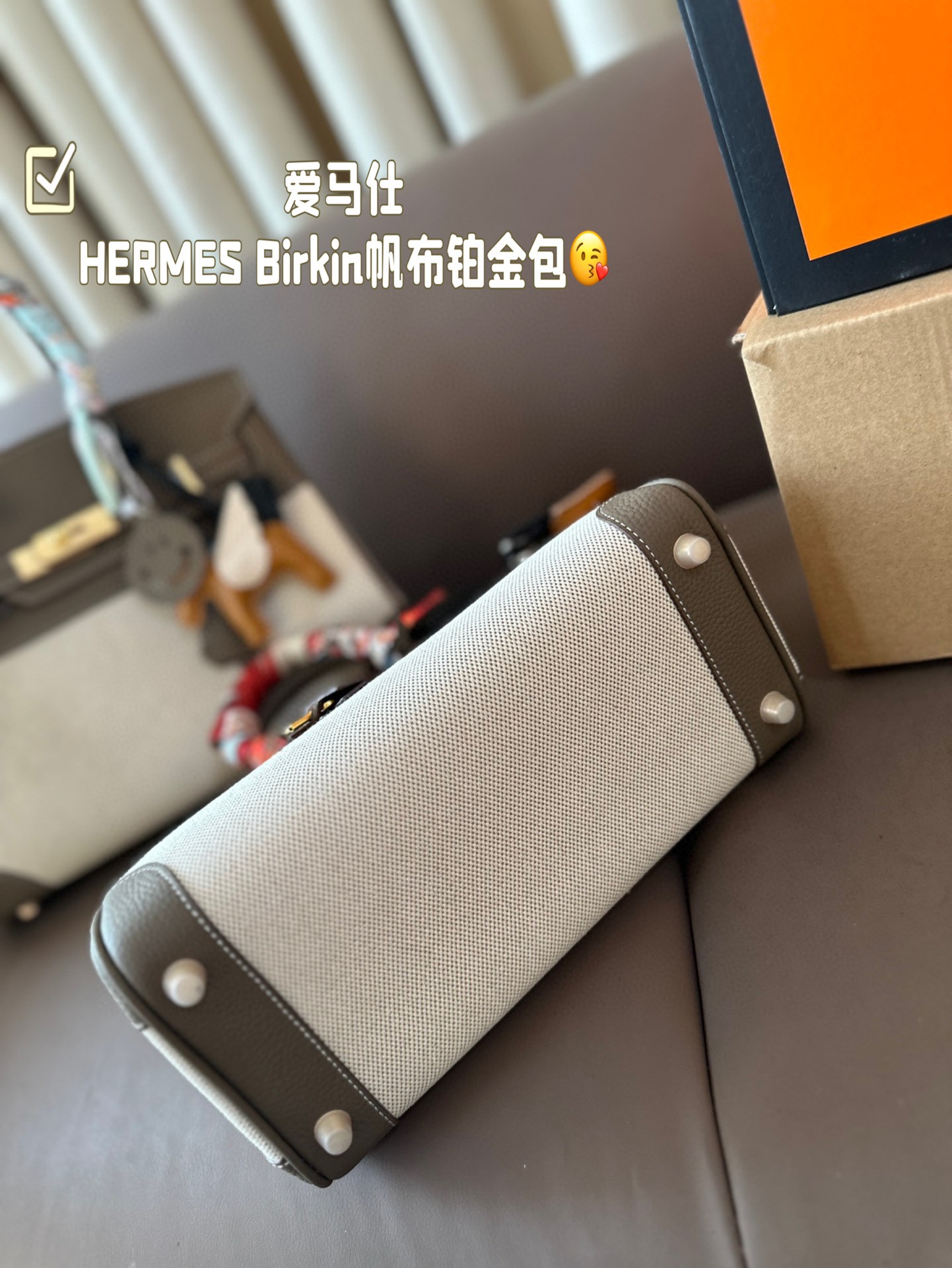 HERMES Birkin Canvas platinum bag