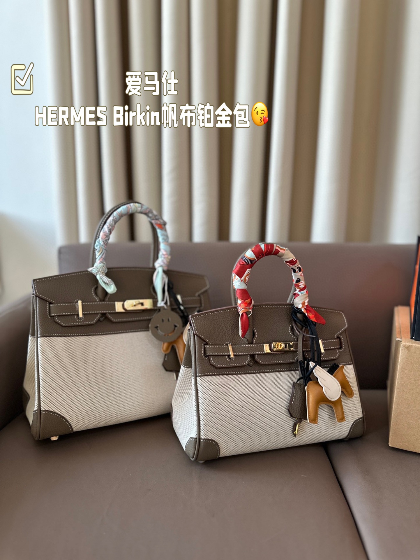 HERMES Birkin Canvas platinum bag