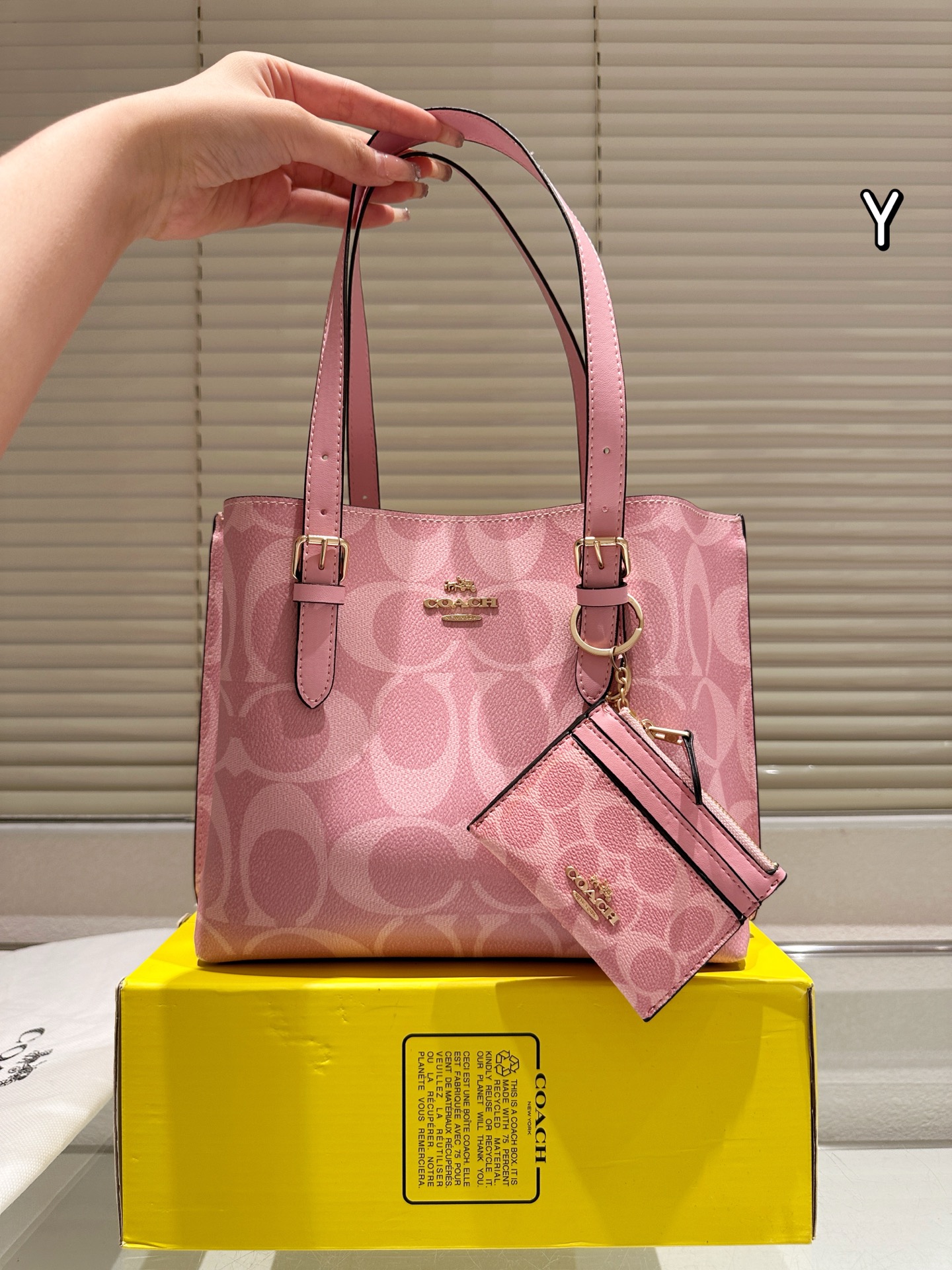 Coach mollie25 tote handbag