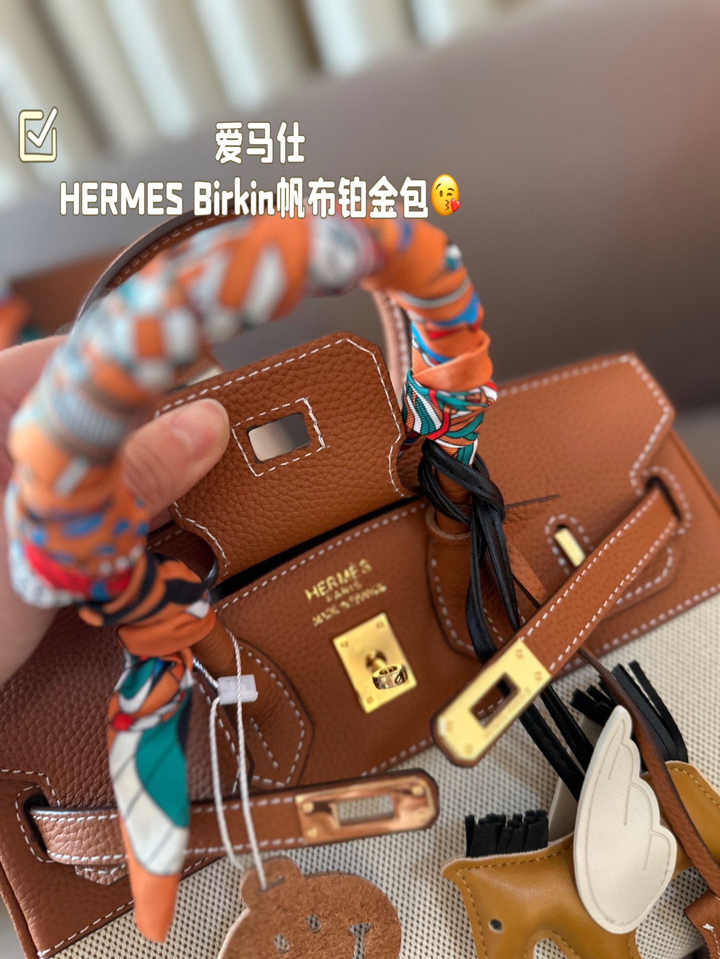 HERMES Birkin Canvas platinum bag