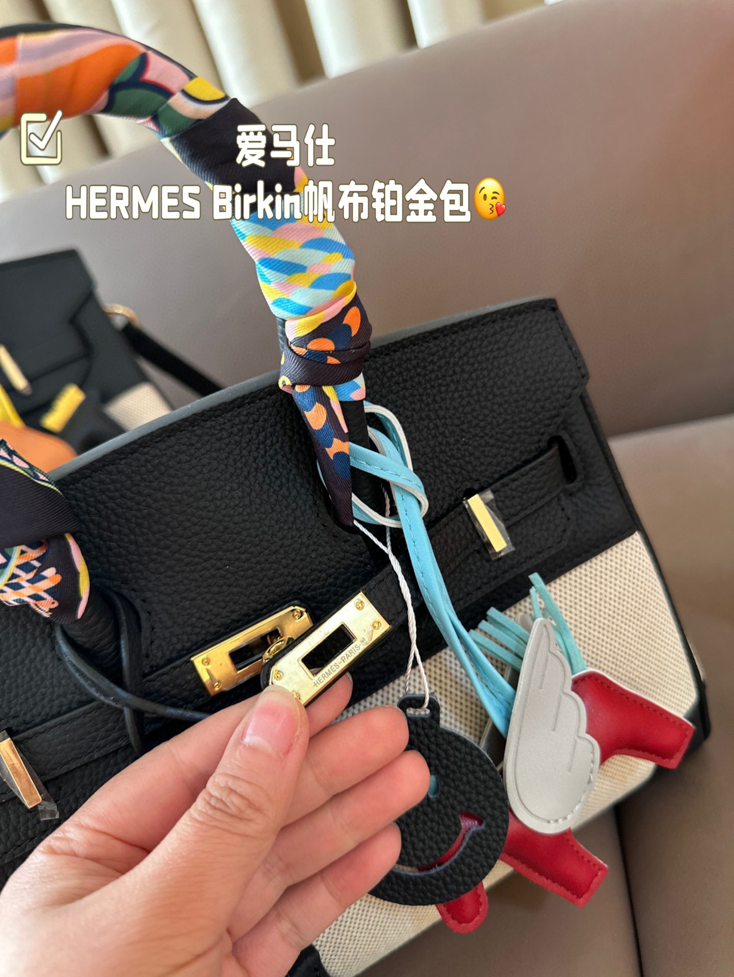 HERMES Birkin Canvas platinum bag