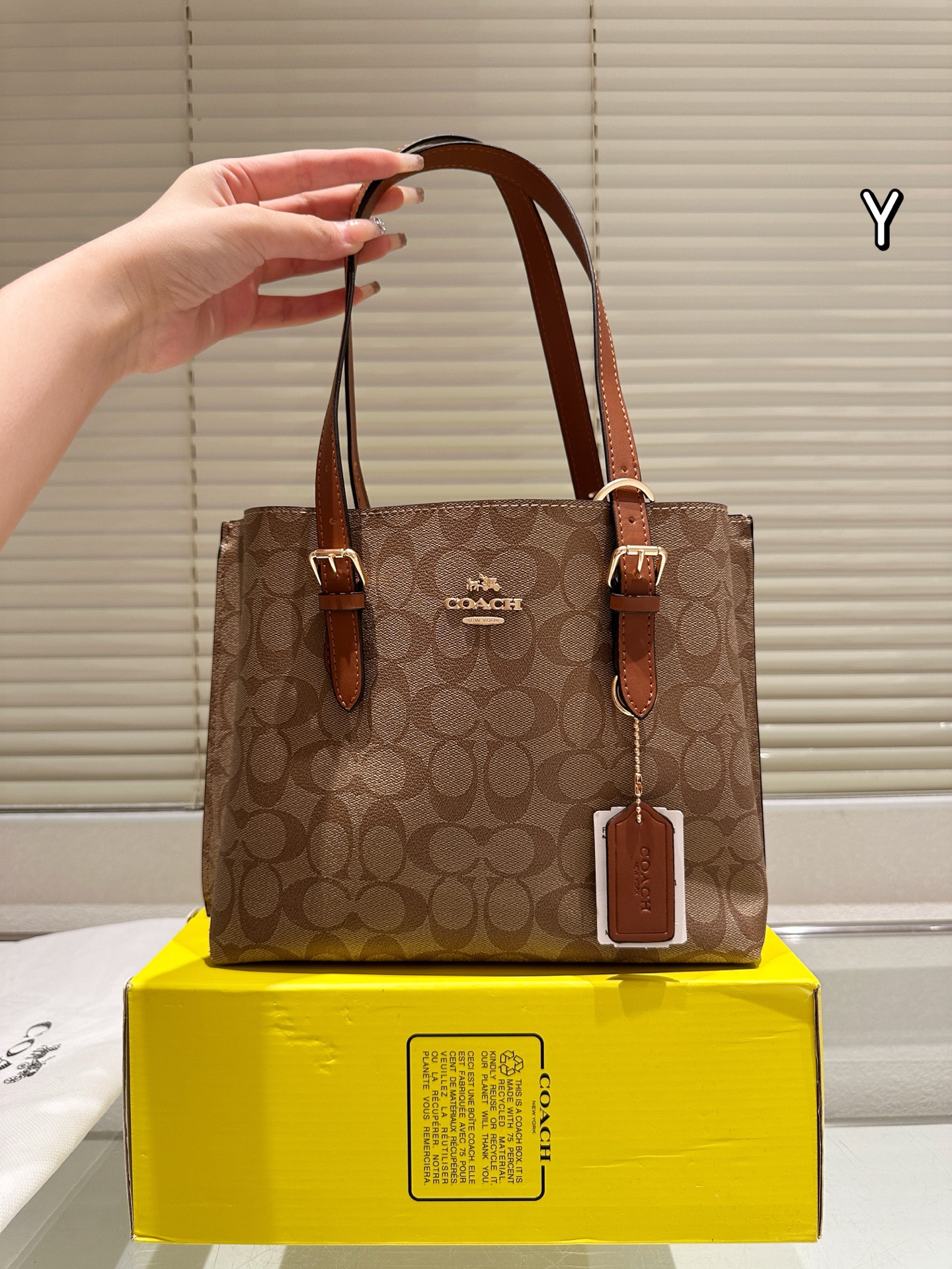 Coach mollie25 tote handbag