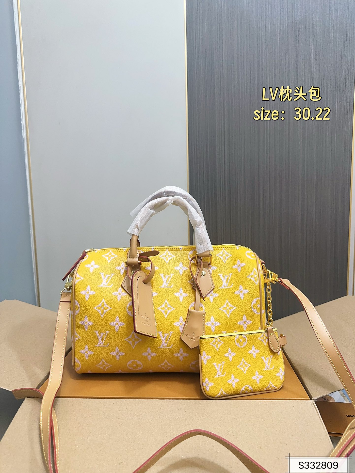 LV speedy boston pillow bag