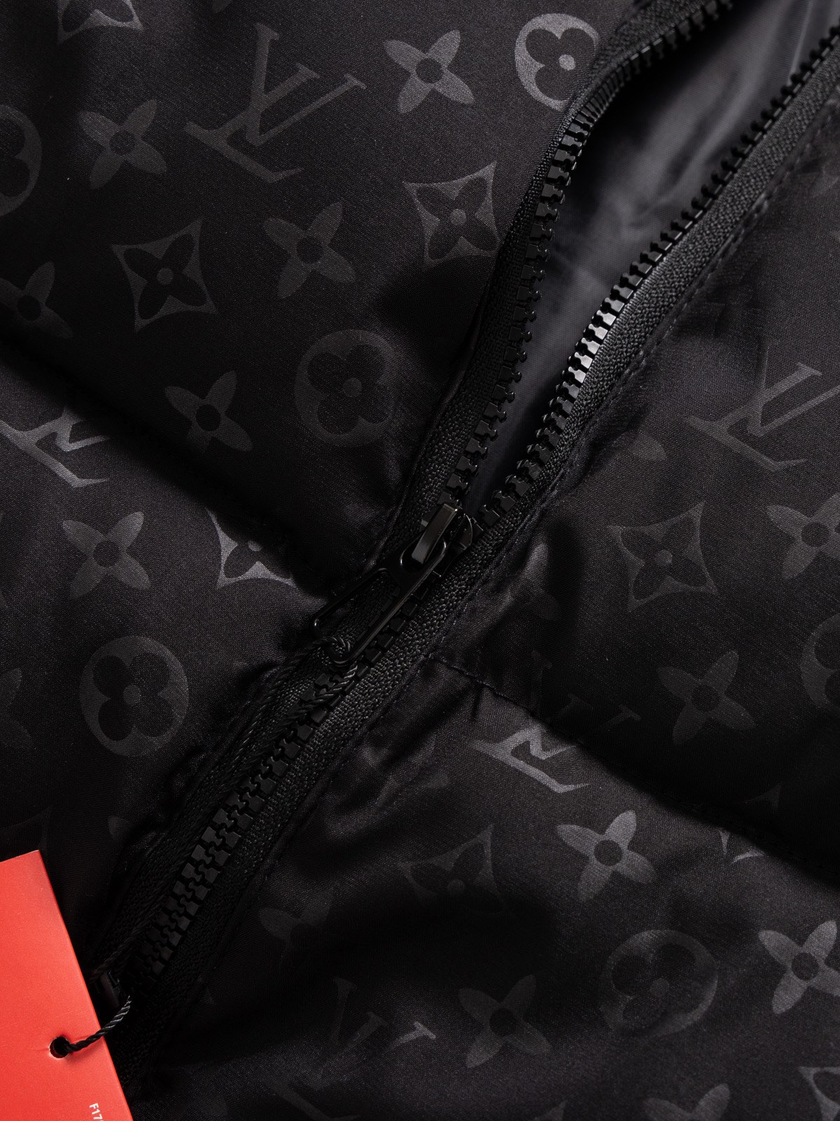 The North Face collaboration with Louis Vuitton (LV) in a cotton jacket.