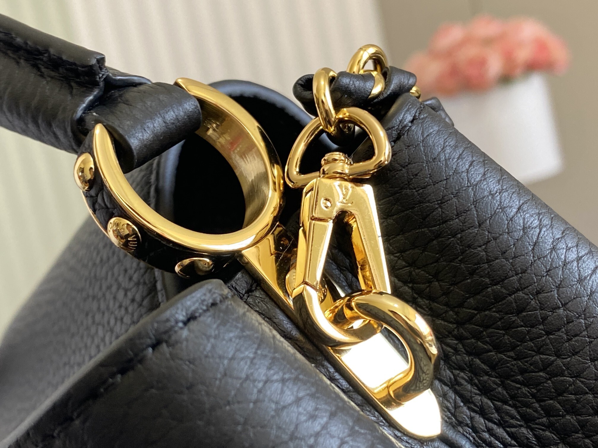 Louis Vuitton Capucines Bag