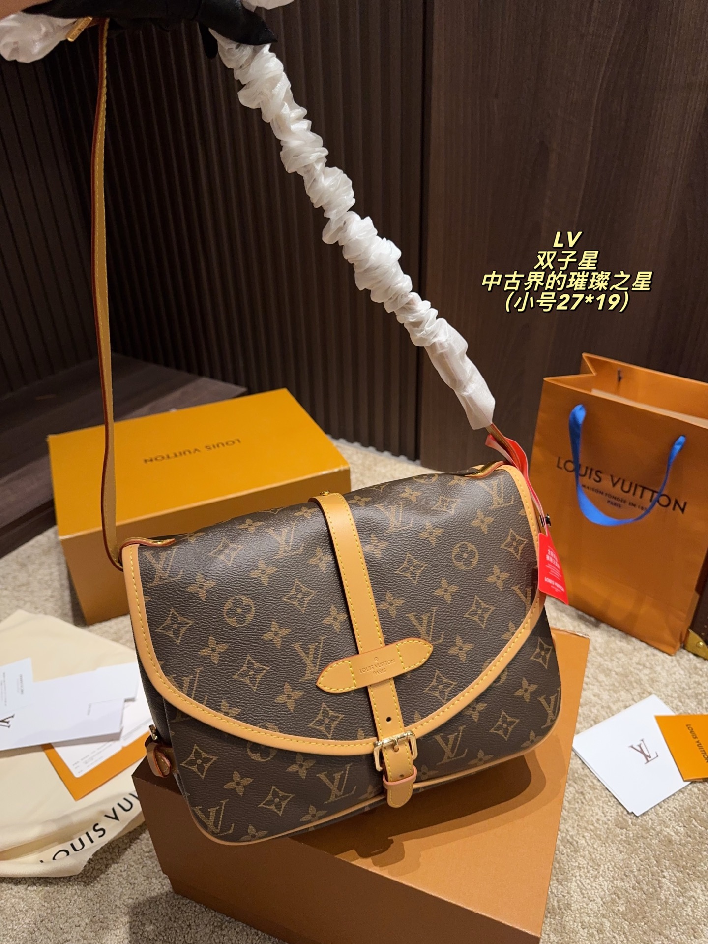 LV Gemini Vintage Bag shoulder crossbody bag