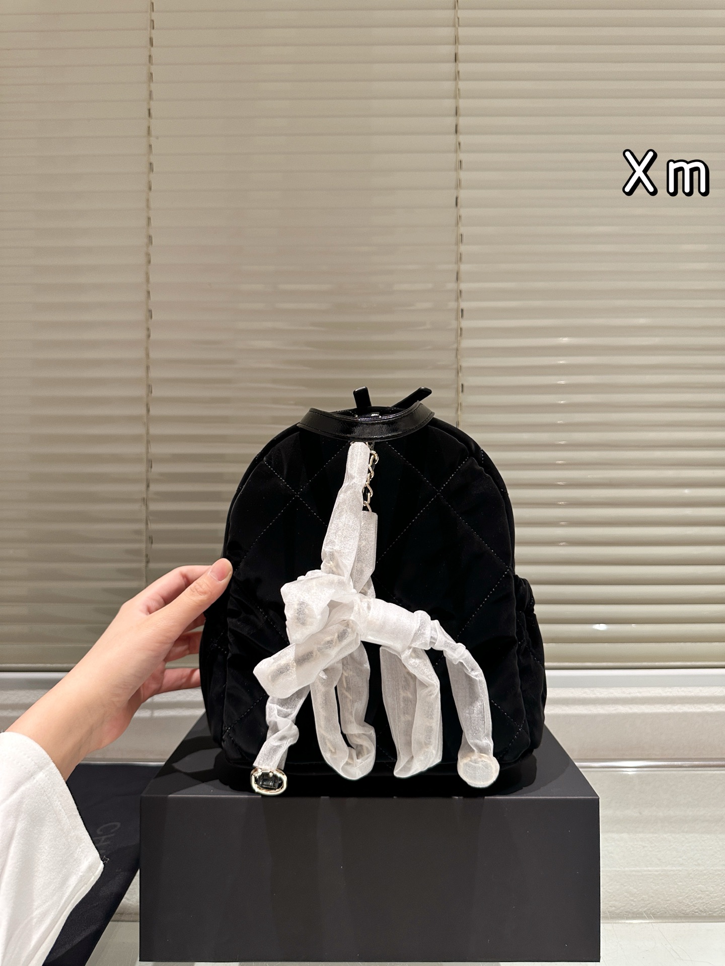 Chanel 25 Ski Collection Shoulder Bag