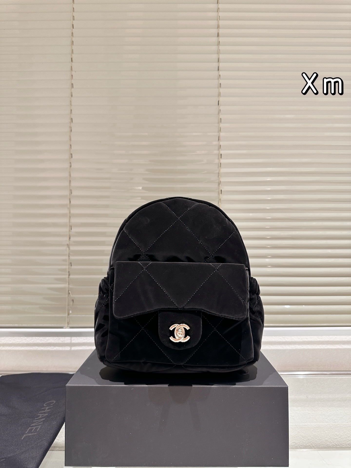 Chanel 25 Ski Collection Shoulder Bag