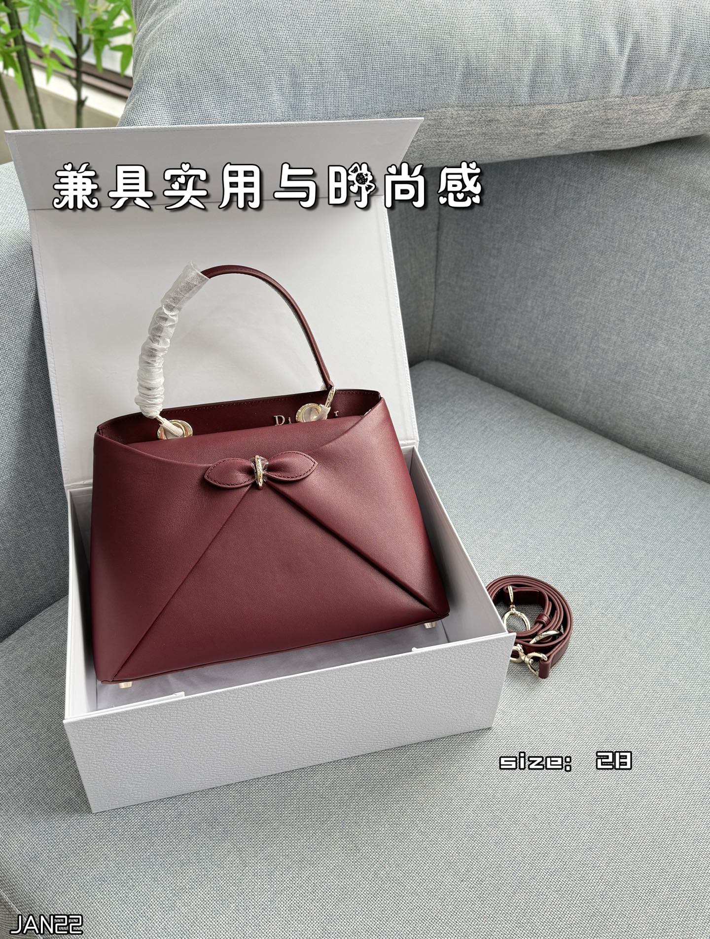 DIOR  Butterfly Knot Handbag