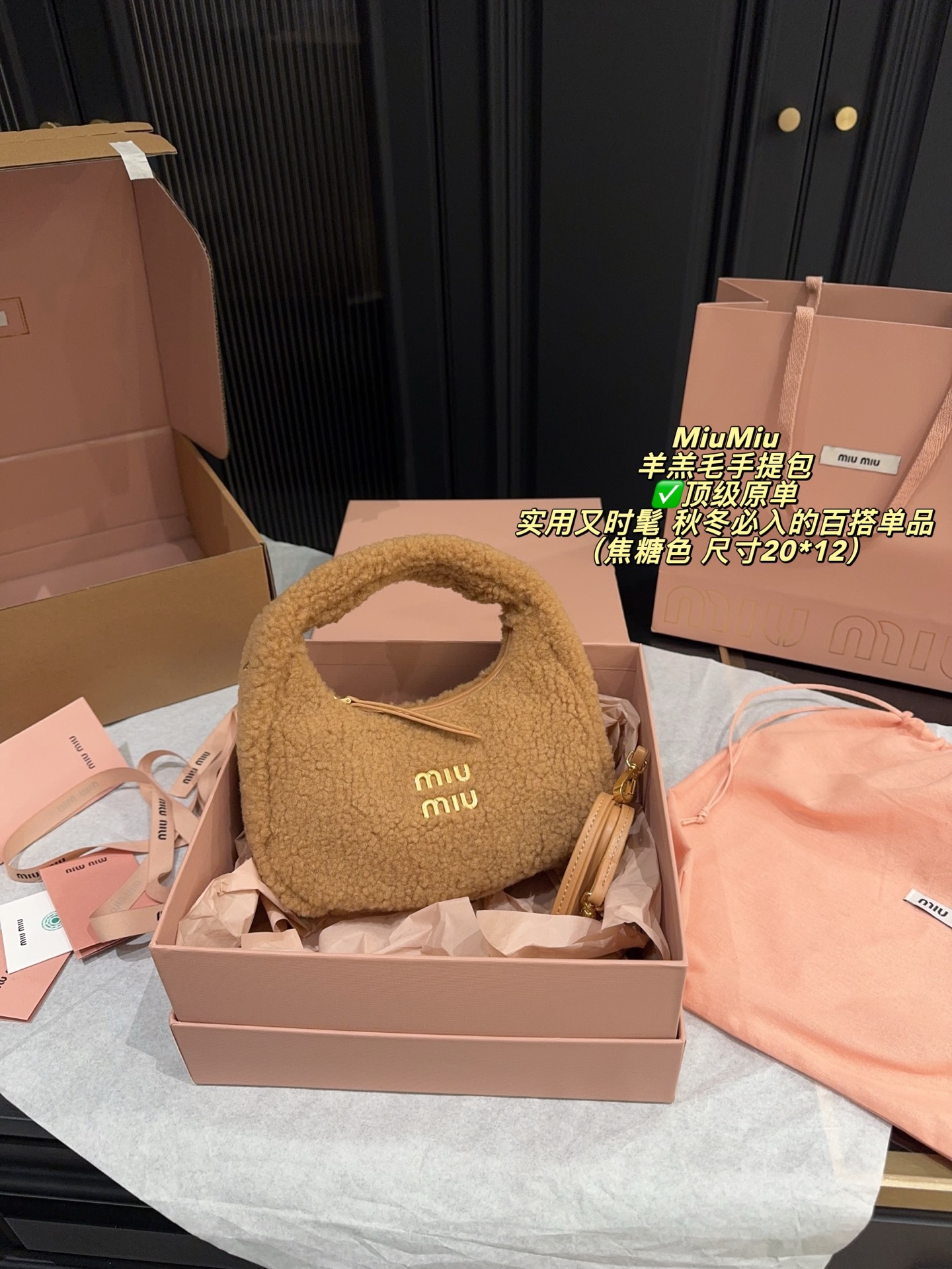 Miu Miu lambskin Wander handbag