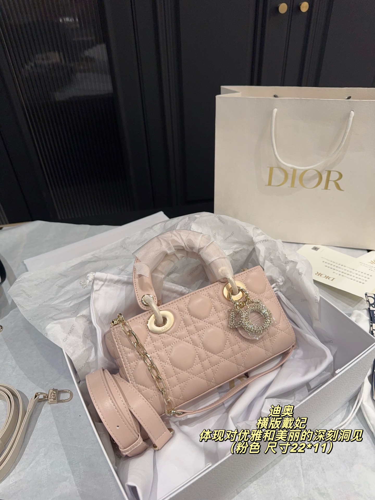 DIOR Lady D-Joy handbag