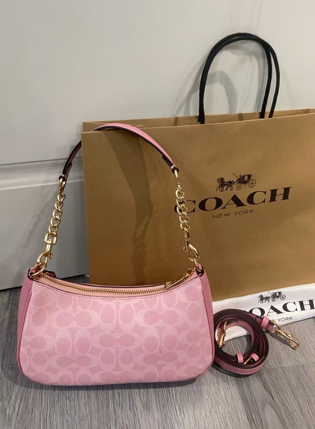 COACH teri underarm bag