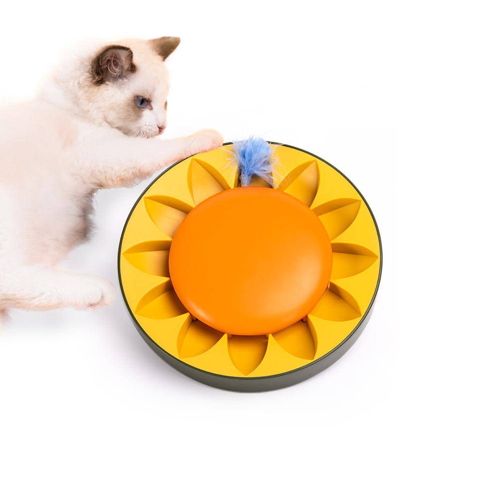 Magic Sunflower Cat Teaser