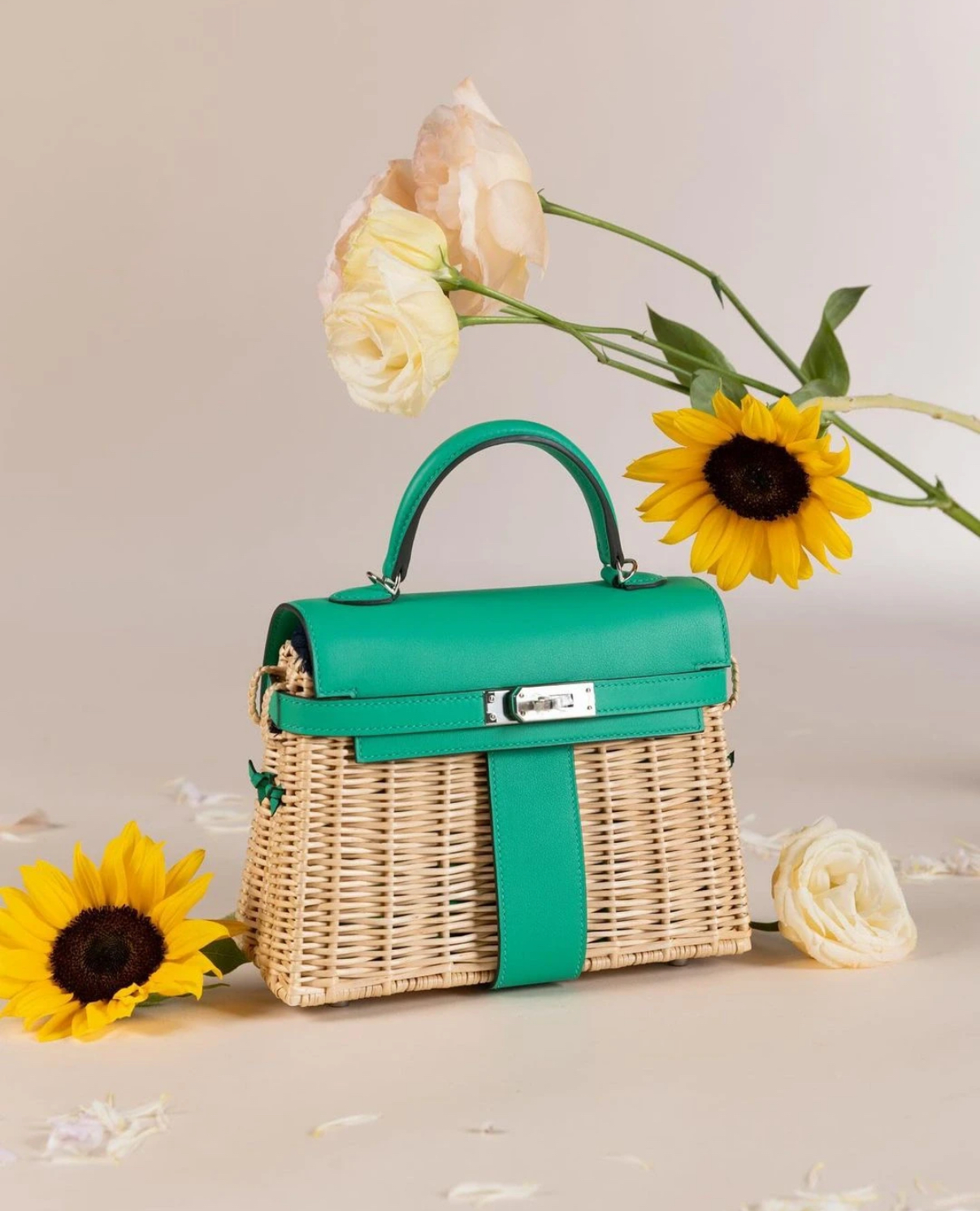 Hermès Picnic Sellier Birkin 25 Framboise Swift Palladium Hardware