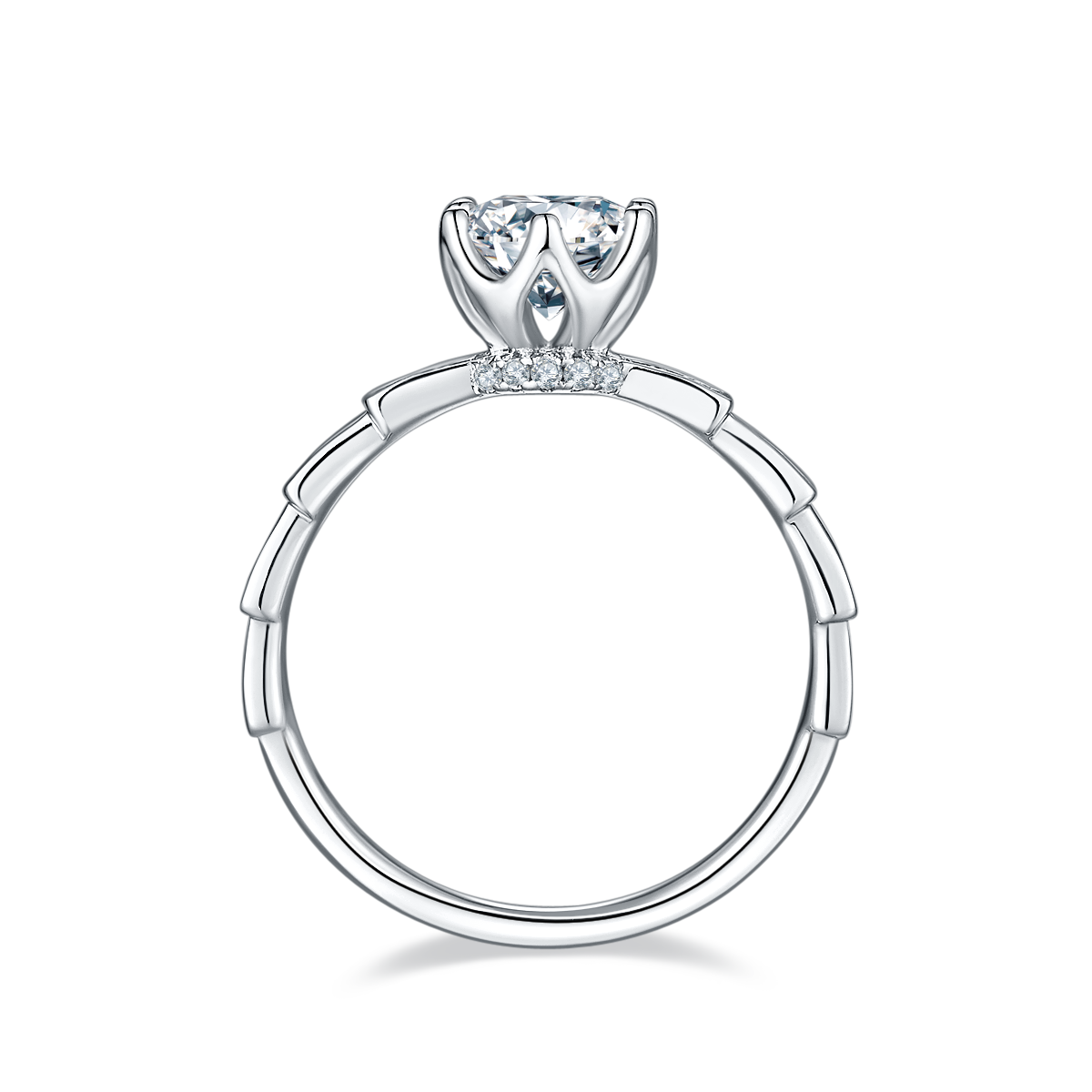 M12A Straight Arm Deluxe Set Medusa Mechanical Snake