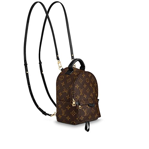 Louis Vuitton Palm Springs Mini Backpack M41562