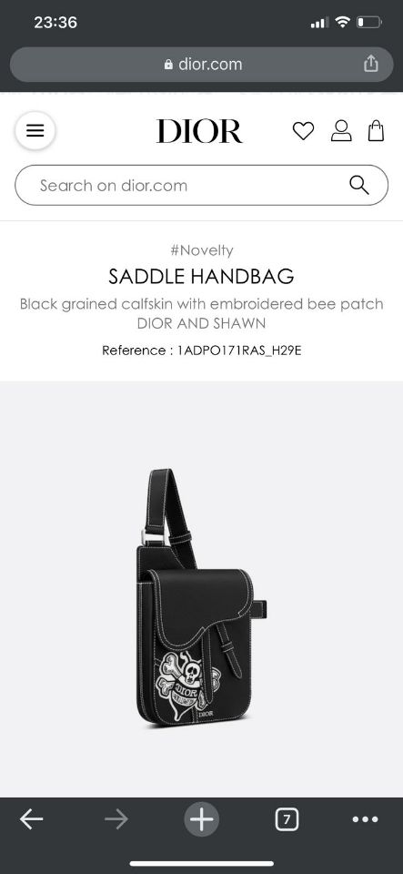dior saddle bag