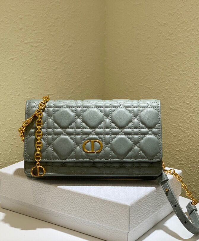 Christian Dior Caro Belt Pouch With Chain Gray