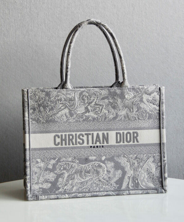 Christian Dior Small Dior Book Tote Gray