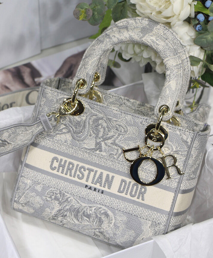 Christian Dior Medium Lady D-Lite Bag Gray