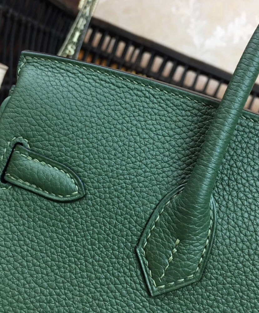 Hermes Birkin 25 Togo Leather Green