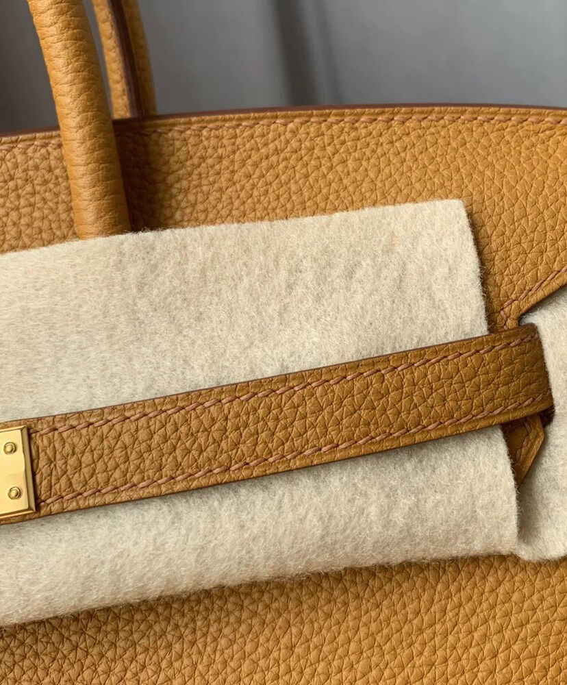 Hermes Birkin 25 Togo Leather Apricot