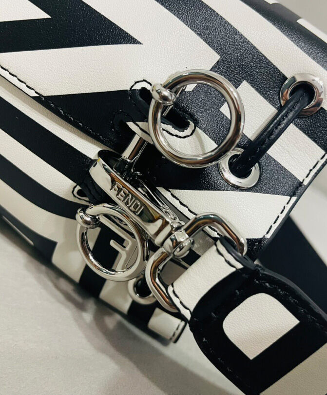 Fendi Mon Tresor Two-tone Printed Leather Fendi Roma Capsule Mini-bag 8BS010 Black