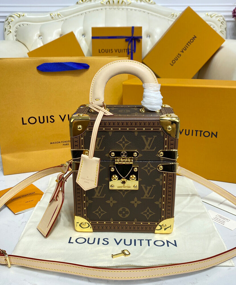 Louis Vuitton Camera Box M10079 Brown