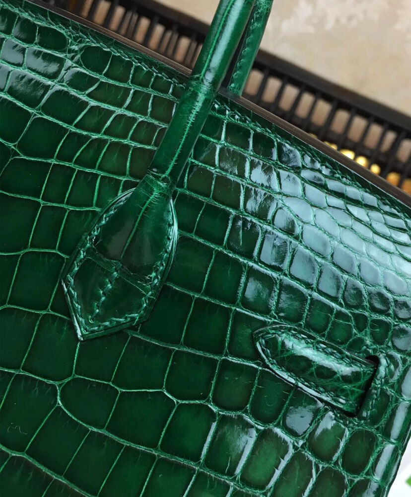 Hermes Birkin 25 Crocodile leather Green