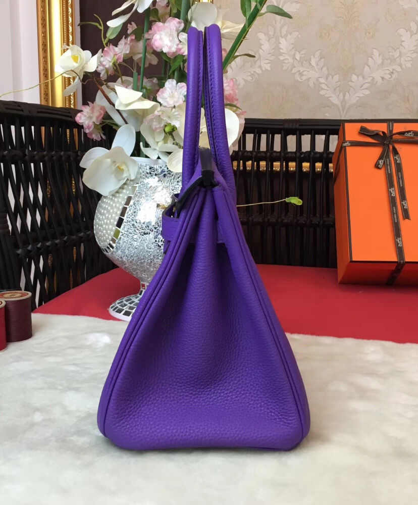 Hermes Birkin 30 Togo Leather Purple